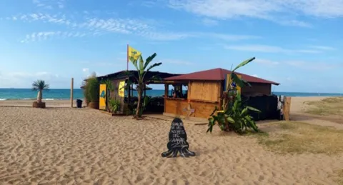 El Calamar, un agosto musical en un oasis en la playa del Prat El Calamar, un agosto musical en un oasis en la playa del Prat