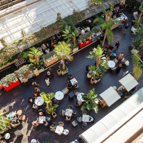 La Algodonera Market