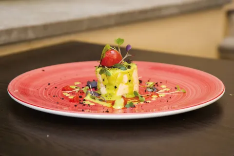 Coulant de ensalada de verano Coulant de ensalada de verano