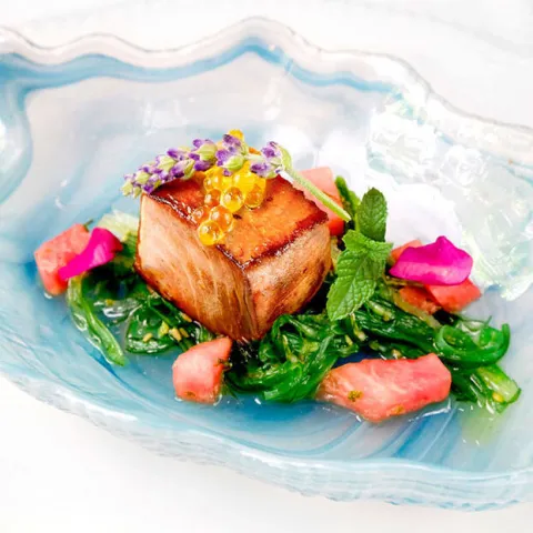Cubo de atún de almadraba maridado en sake y lima sobre algas wakame Cubo de atún de almadraba maridado en sake y lima sobre algas wakame