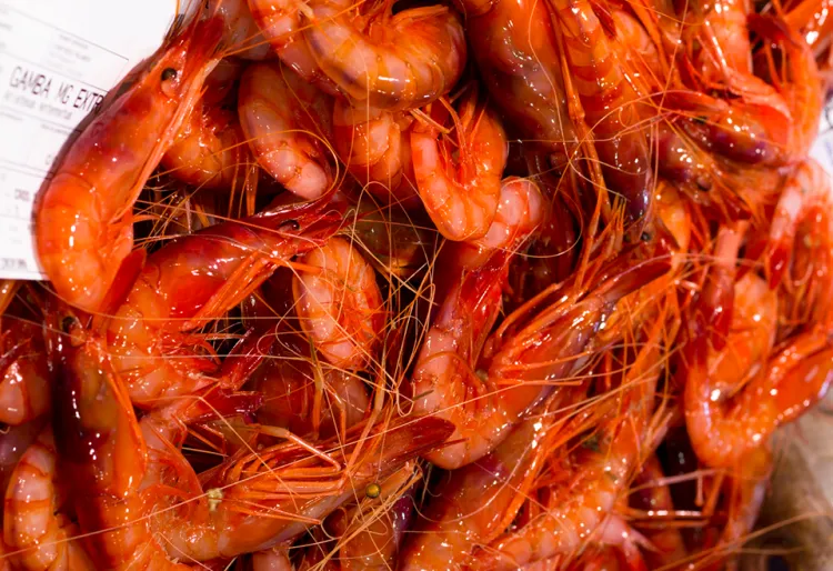 Palamós celebra la seva sisena fira de la gamba amb degustacions i activitats