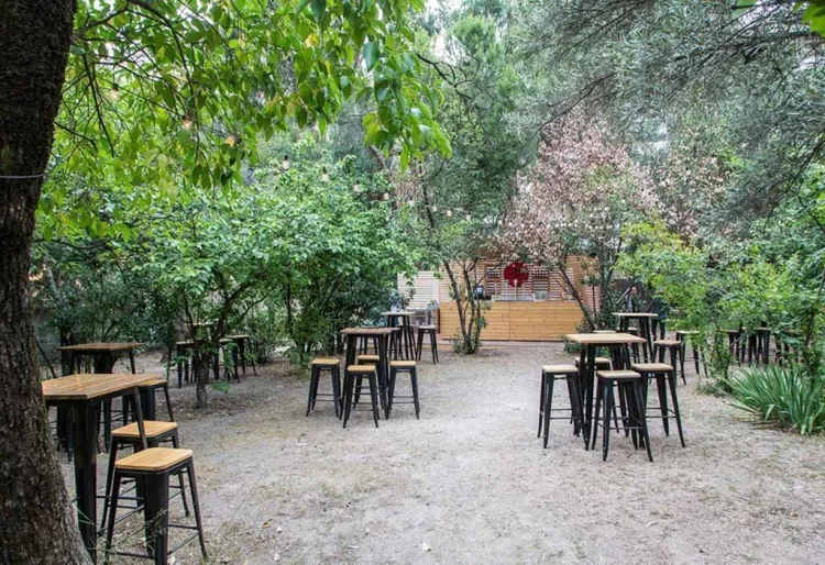 Olivar de Castillejo, el jardí secret madrileny on has de portar a tots els teus amics