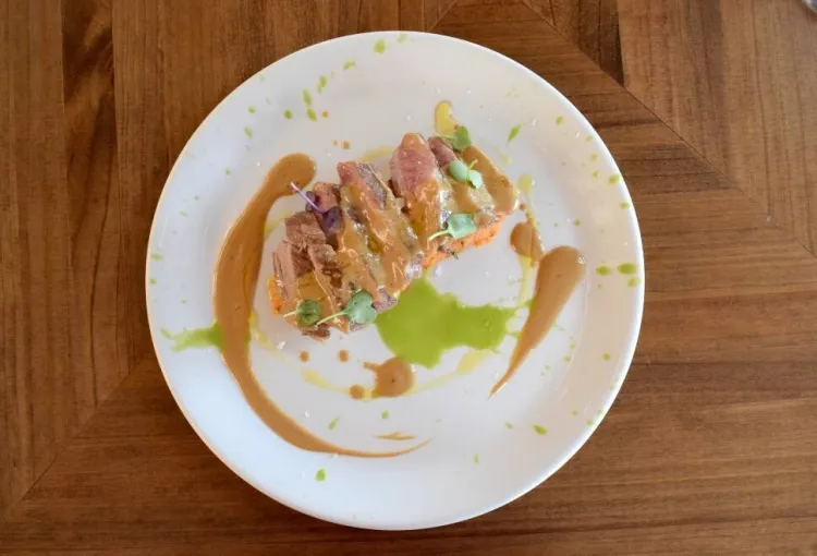 Ploma ibèrica de Pablo Vega