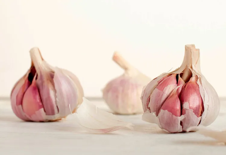 All: salut i sabor al plat