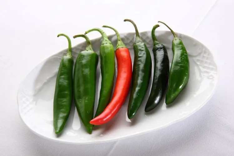 La brava alegria de La Rioja