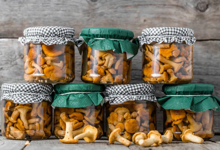 5 plats de bolets que has de tastar aquesta tardor