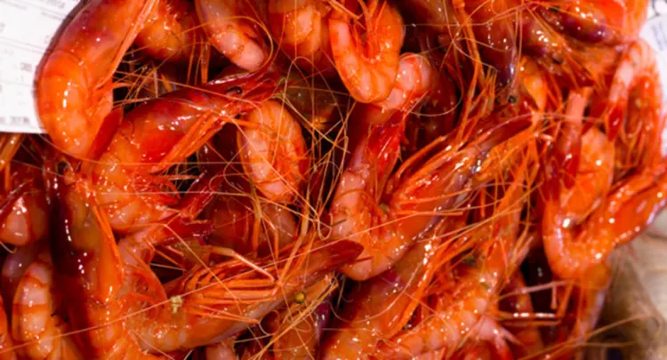 Fira de la Gamba de Palamós, gastronomia i entreteniment