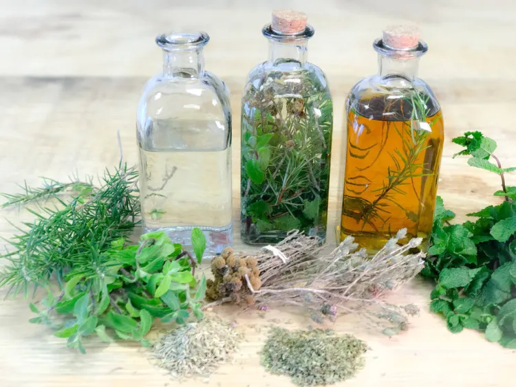 La 'fórmula secreta' de les Herbes Eivissenques