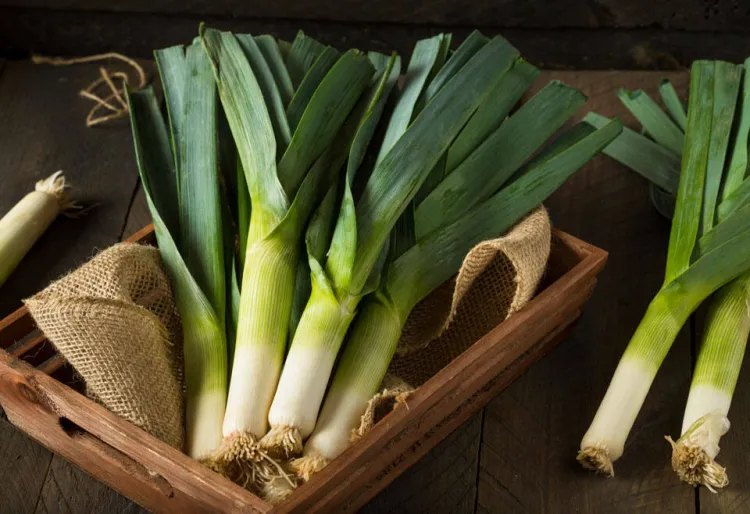 Porros: quatre receptes per disfrutar de les seves virtuts