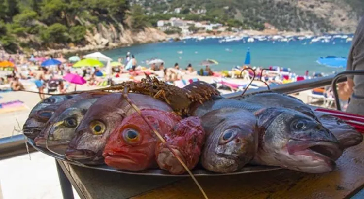 La cuina de la Costa Brava. Tradició i receptes