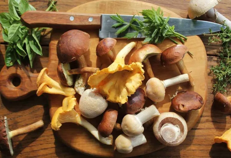 Idees originals per 'foodies' amants dels bolets