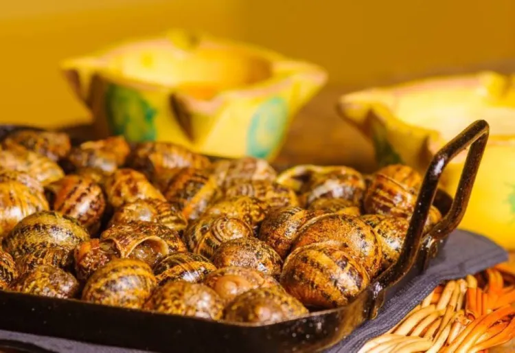 Caracoles: cómo limpiarlos y 3 recetas fáciles y buenísimas