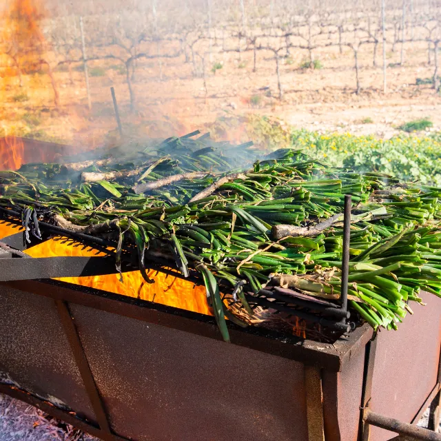 Dónde comer calçots en Tarragona