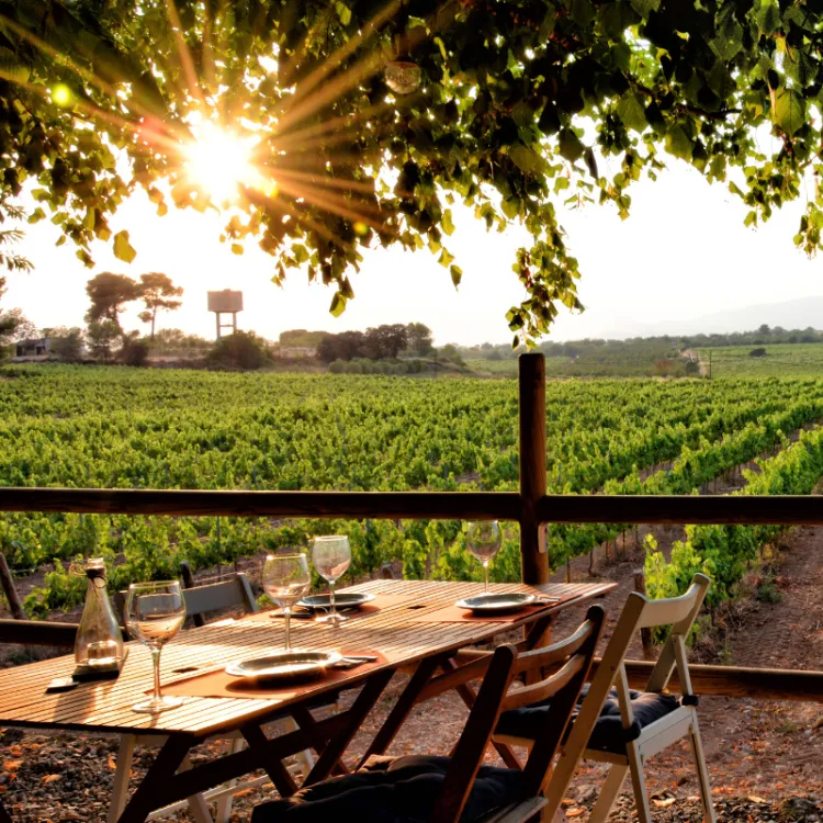 Los mejores restaurantes de Tarragona, de la Costa Daurada al interior