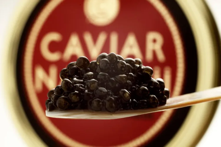Esturions i caviar, un dels secrets de la Vall d’Aran