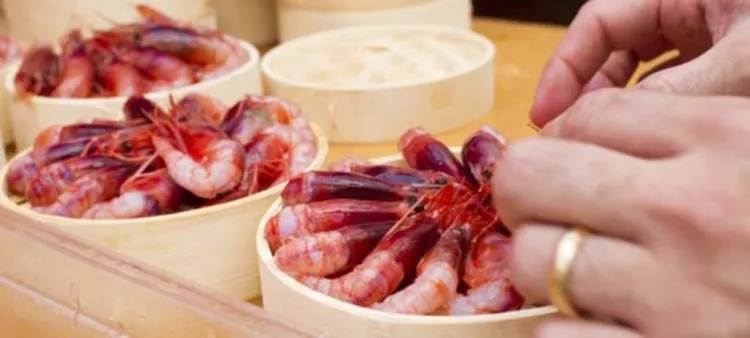 Sabor mediterrani al Xiringuito Damm de Gràcia