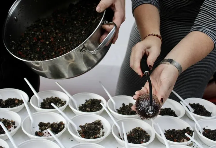 El Sur de las Estrellas acomiada l'any amb un homenatge a les 'migas'