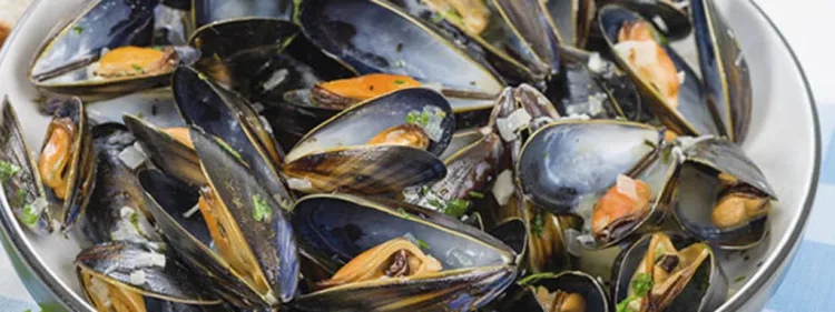 Clòtxina de València, la joia del mar Mediterrani