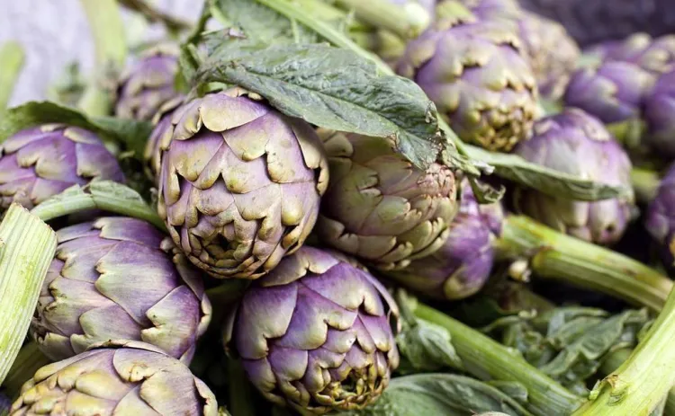 La carxofa, còctel nutritiu i gran comodí gastronòmic