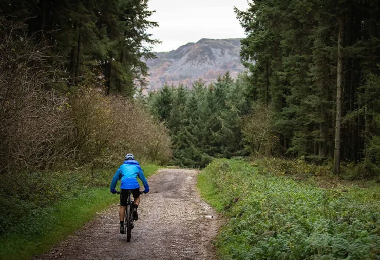  La bicicleta, la teva millor aliada per a perdre pes