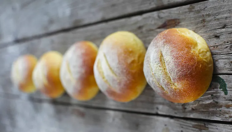 Creuada per recuperar l'honor del brioix