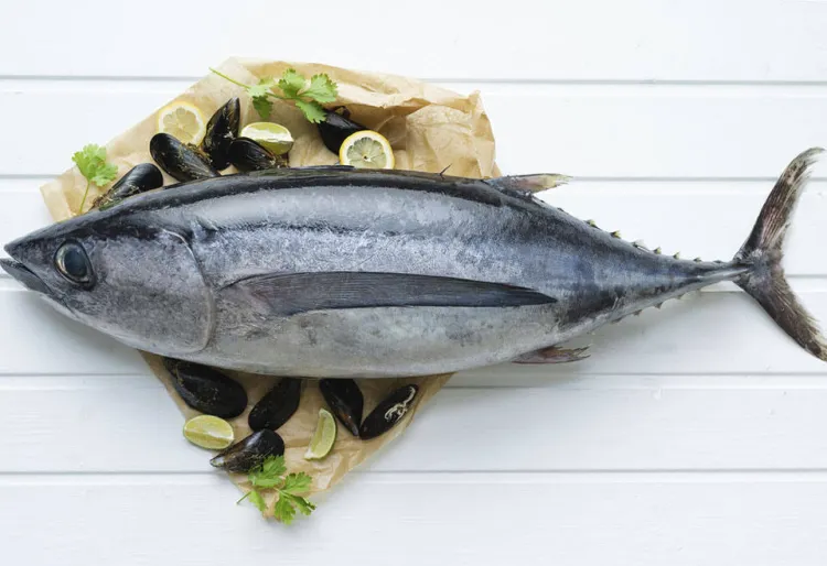 Beneficios y recetas con atún: ¡Nutrición y sabor!