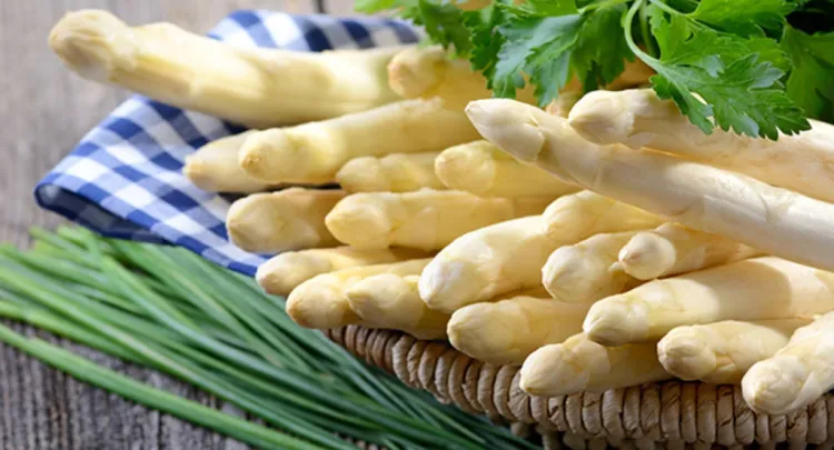 La breu però intensa temporada de l'espàrrec de Navarra