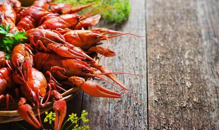 El cranc de riu ibèric, un mos en vies d'extinció