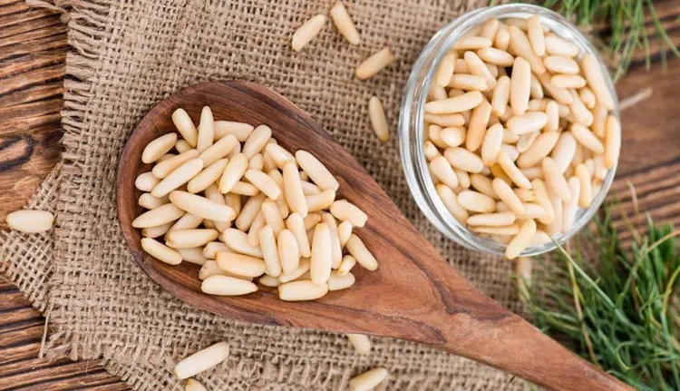 El nostre pinyó: un delicatessen exquisit i gran font de recursos