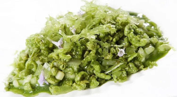 El Plàncton Marí arriba a la nostra cuina: el mar d’una queixalada