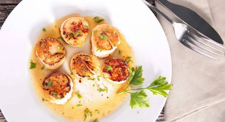 Vieires: quan és la millor época per menjar-les i 2 receptes molt fàcils