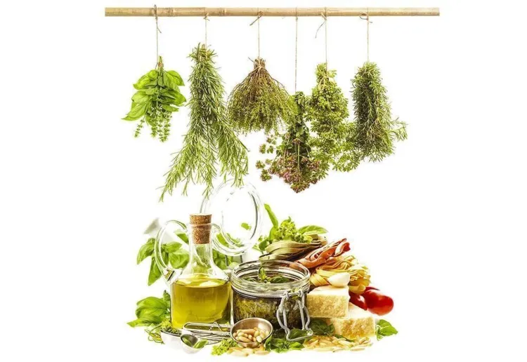 Cuinar amb herbes, plantes i flors silvestres