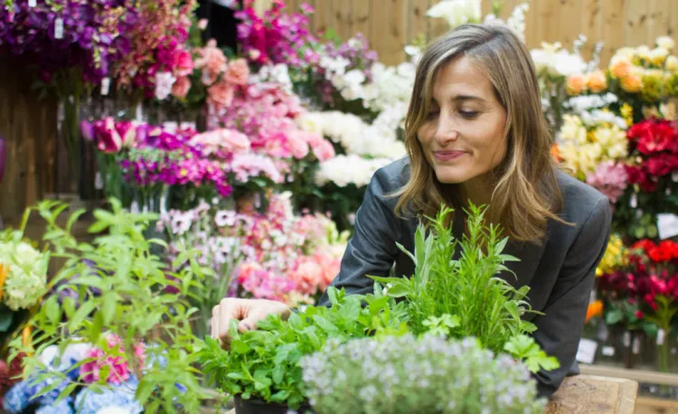 Herbes aromàtiques: - sal a la teva dieta + sabor i salut