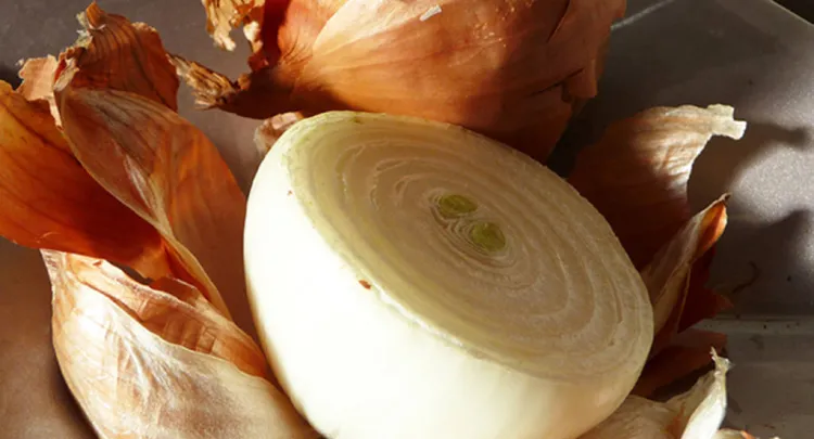 La ceba, humil ingredient fonamental a la cuina