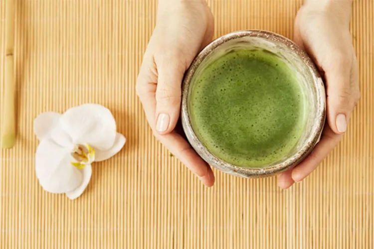 Te Matcha, l'elixir dels immortals