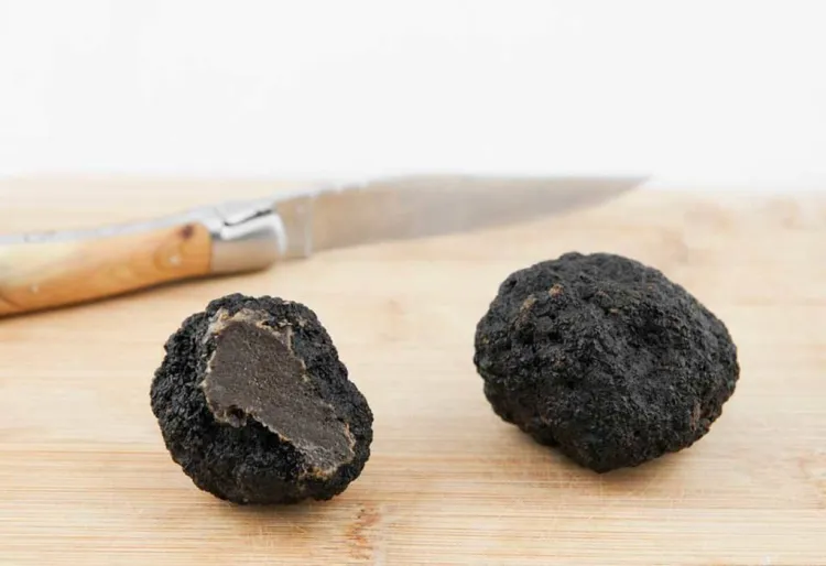 Tòfona negra, el diamant negre que desperta passions