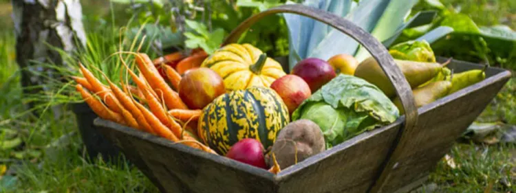 16 restaurants es sumen a la xarxa Slow Food Catalunya Km 0