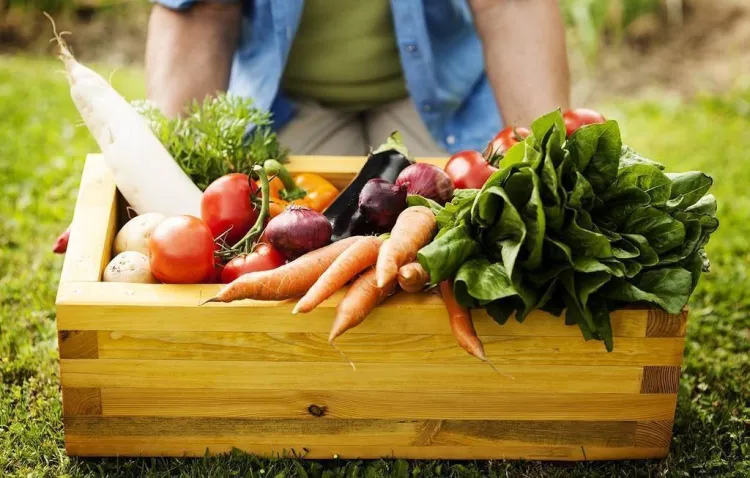 Slow food, la gastronomia desafia el culte a la velocitat