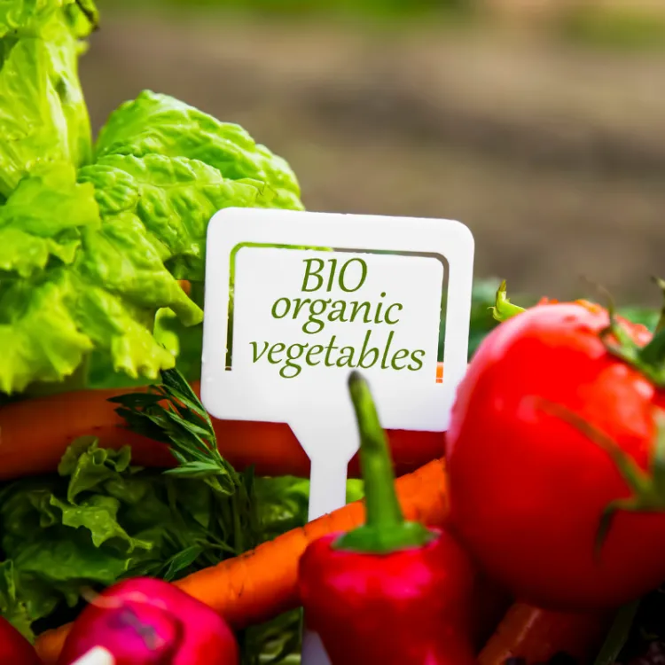 Bio vs eco vs convencional: qué significa de verdad