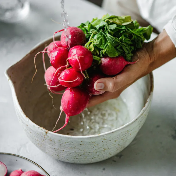 Recetas con rábano: cómo aprovecharlo en la cocina