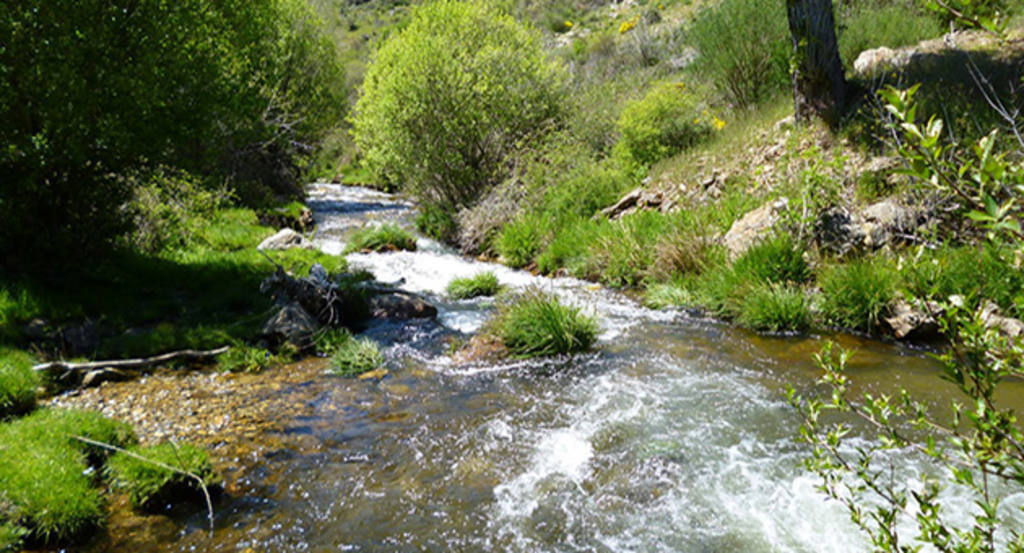 La Sierra Norte-Gastronosfera