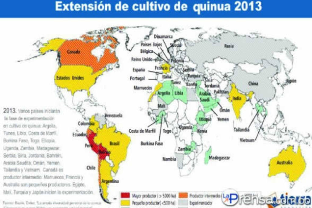 Quinoa en el mundo. Gráfico