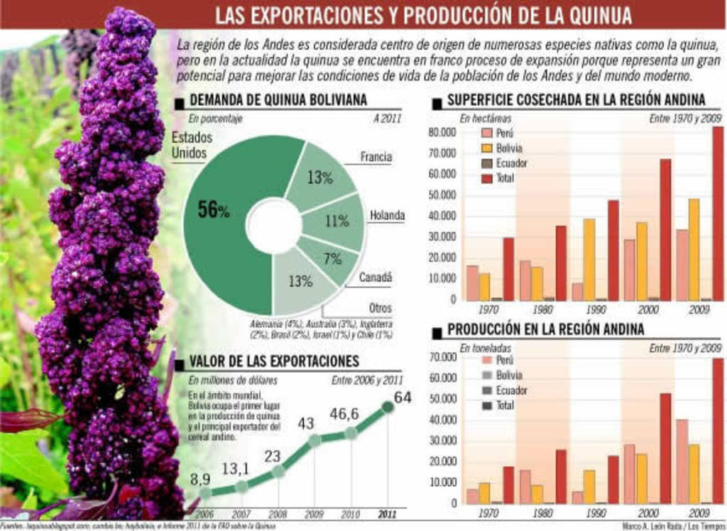 Quinoa en los Andes. Gráfico