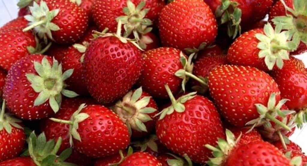 fresas