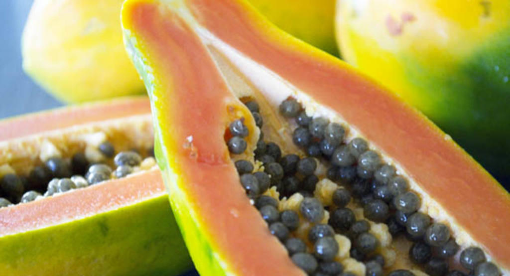 Papaya