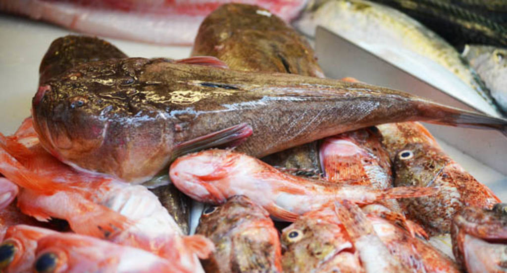 En pescados, ¿aún hay clases? Variedades raras y sabrosas | Gastronosfera