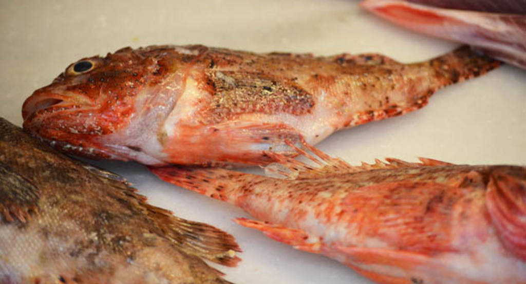 En pescados, ¿aún hay clases? Variedades raras y sabrosas | Gastronosfera