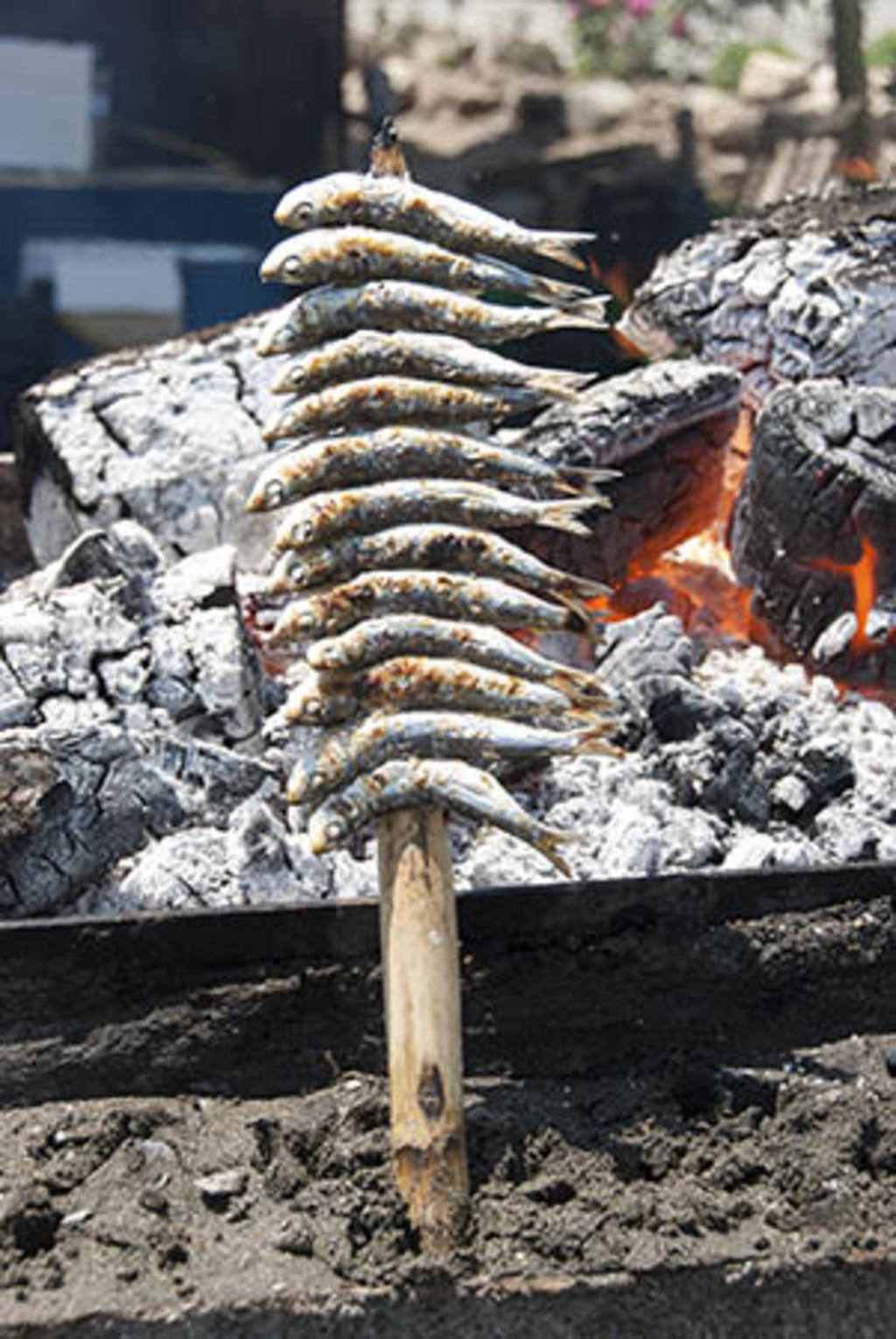 Espeto de Sardinas.